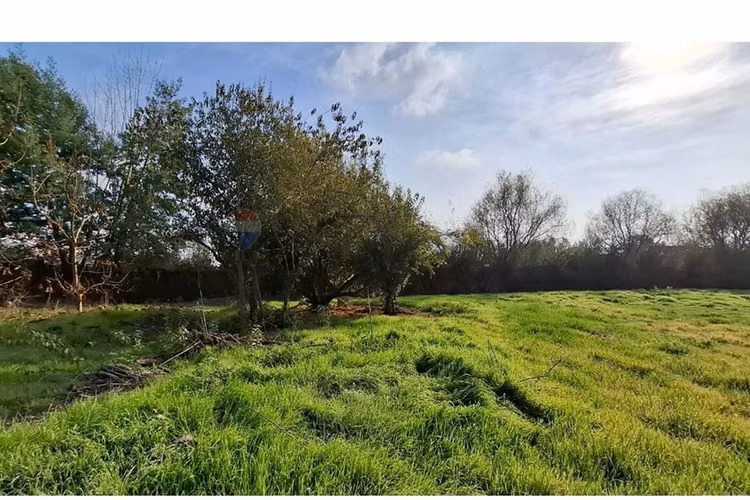 Venta de parcela 7.000 m², camino a palmilla..