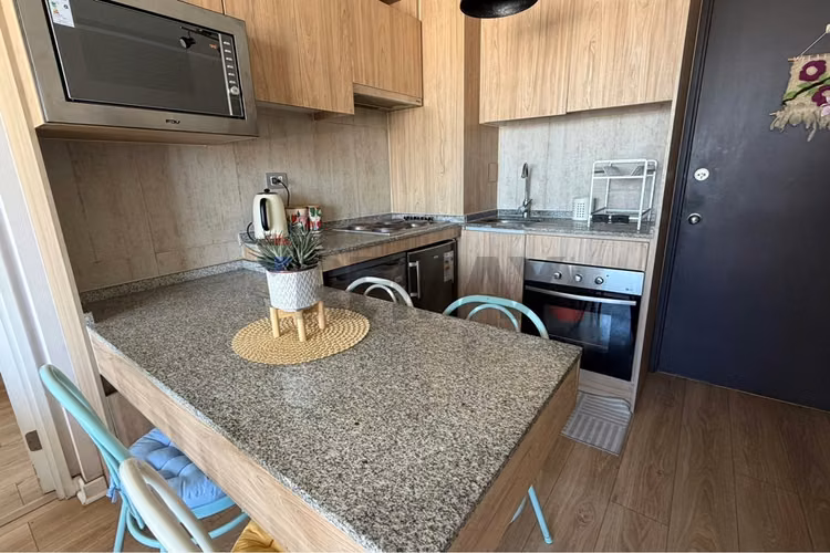 Arriendo departamento tipo mariposa 2d/2b - Imagen 25