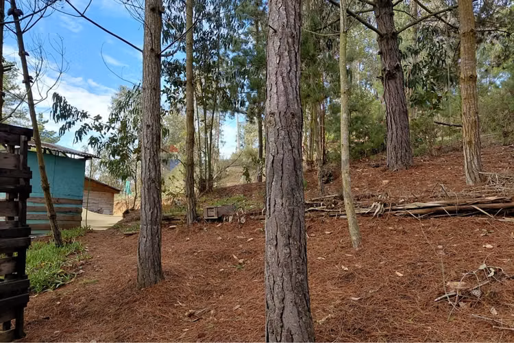 Parcela 5.823 m² en punta de tralca