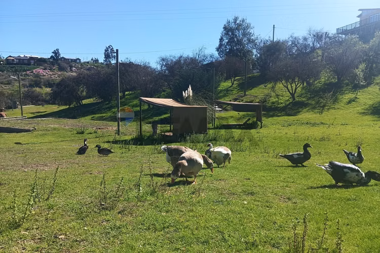 Terreno con 5 cabañas en melipilla. - Imagen 34