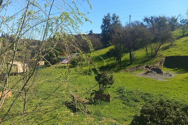 Terreno con 5 cabañas en melipilla. - Imagen 30