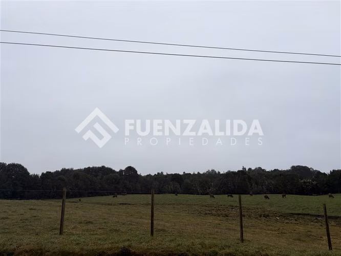 Venta Parcela en condominio Parque Lindo Puerto Varas - Imagen 10