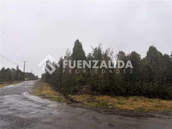 Venta Parcela en condominio Parque Lindo Puerto Varas - Imagen 4