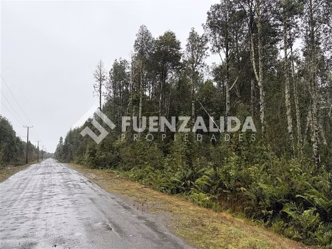 OPORTUNIDAD Parcela Venta Colonia Tres Puentes Puerto Varas - Imagen 6