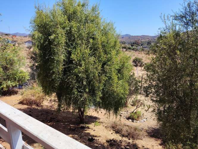 ARRIENDO DOS CASAS EN MEDIA HECTAREA - Imagen 24