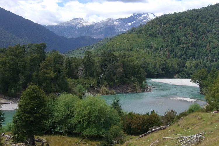 Río Palena 1,5ha orilla río - Imagen 1