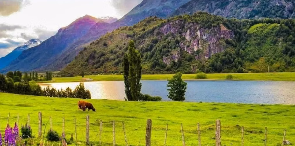Mañihuales parcela 5000 m² - Laguna Esponja