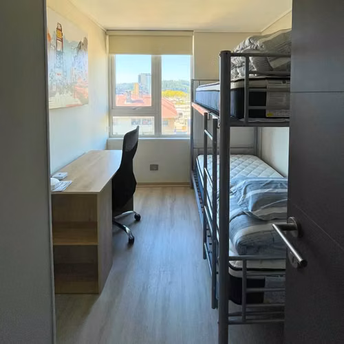 Arriendo hermoso departamento amoblado 2d 2b 1e, Concepción - Imagen 5