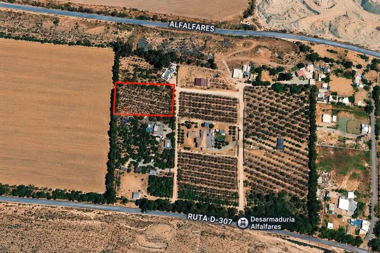 5.000 m² en alfalfares a minutos de la serena - Imagen 5