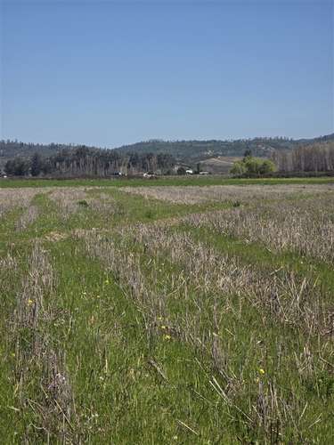 PARCELA 90