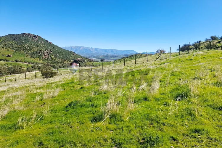 "tu refugio natural en hacienda de chacabuco" - Imagen 21