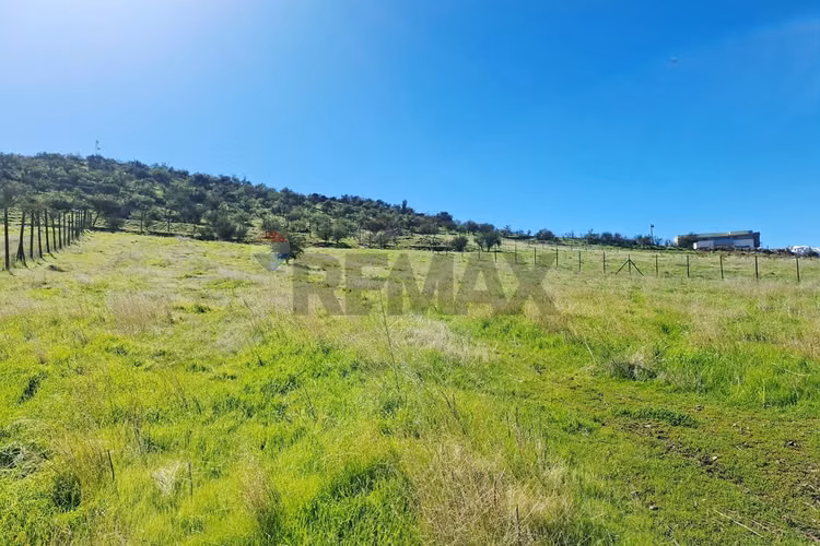 "tu refugio natural en hacienda de chacabuco" - Imagen 13