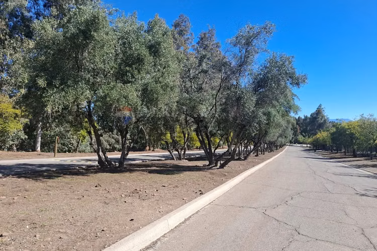 "tu refugio natural en hacienda de chacabuco" - Imagen 5