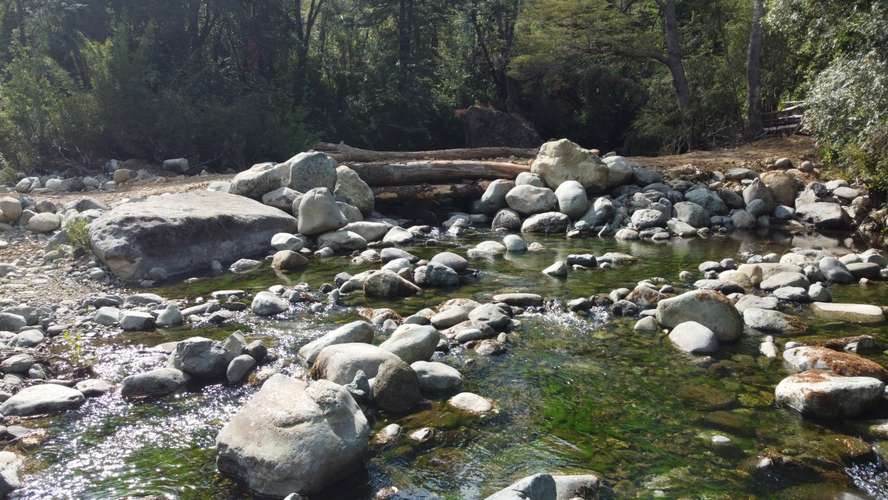 CAMPO FORESTAL MITIGACIÓN CONSERVACIÓN EN QUILACO