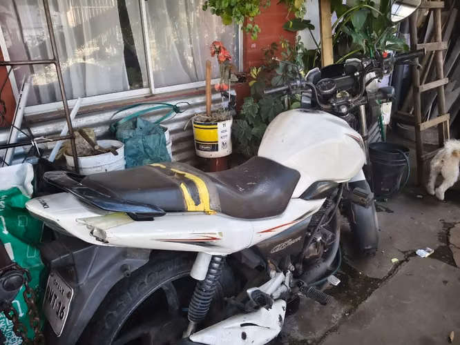 Moto Suzuki