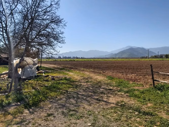 Venta de parcelas  de 5.000 m2, planas, en Nogales. 50 M$