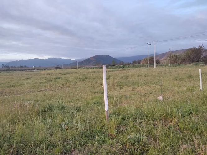 Venta de parcelas  de 5.000 m2, planas, en Nogales. 50 M$