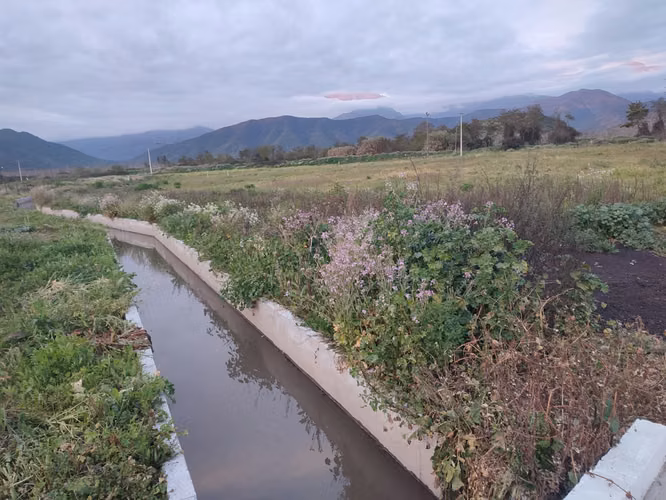 Venta de parcelas  de 5.000 m2, planas, en Nogales. 50 M$