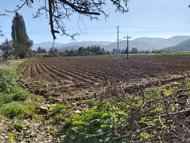 Venta de parcelas  de 5.000 m2, planas, en Nogales. 50 M$