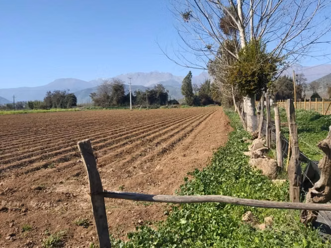 Venta de parcelas  de 5.000 m2, planas, en Nogales. 50 M$