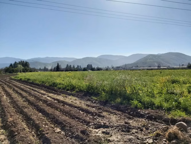 Venta de parcelas  de 5.000 m2, planas, en Nogales. 50 M$