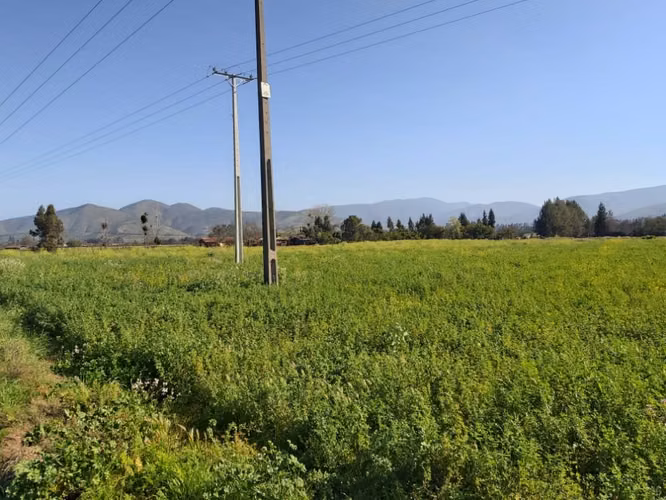 Venta de parcelas  de 5.000 m2, planas, en Nogales. 50 M$