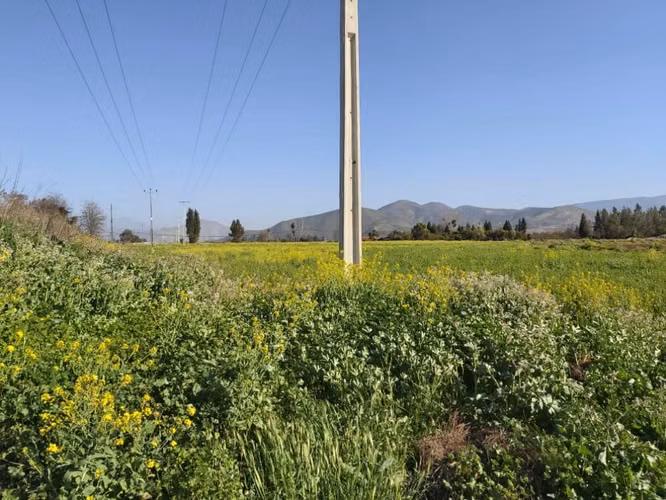 Venta de parcelas  de 5.000 m2, planas, en Nogales. 50 M$