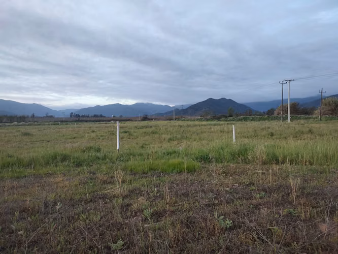 Venta de parcelas  de 5.000 m2, planas, en Nogales. 50 M$