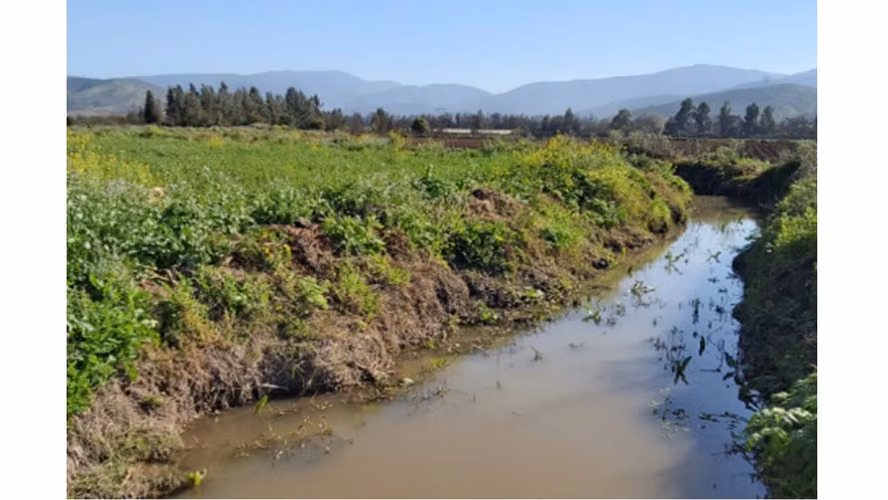Venta de parcelas  de 5.000 m2, planas, en Nogales. 50 M$