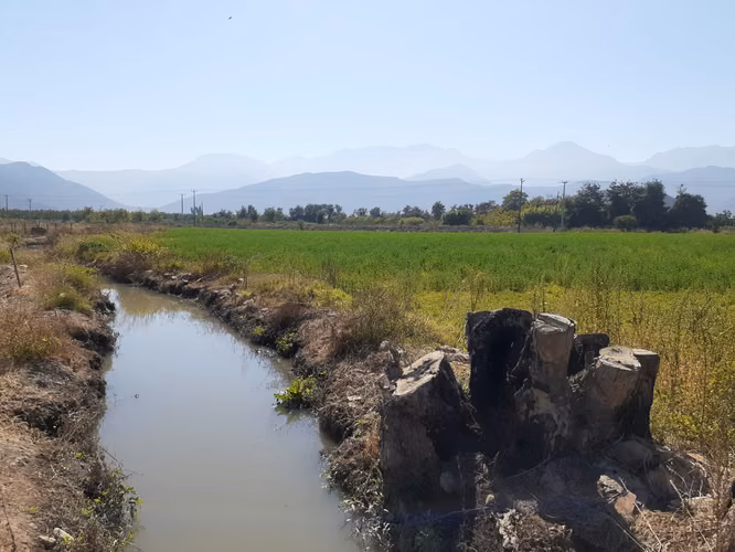 Venta de parcelas  de 5.000 m2, planas, en Nogales. 50 M$