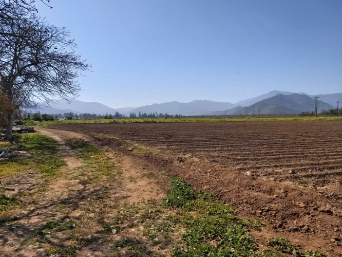 Venta de parcelas  de 5.000 m2, planas, en Nogales. 50 M$