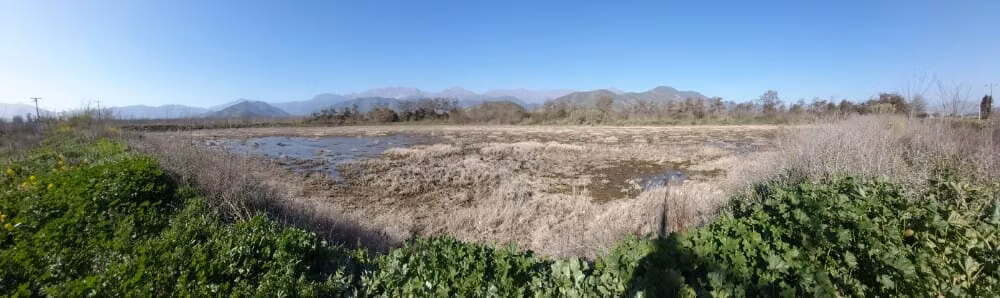 Venta de parcelas  de 5.000 m2, planas, en Nogales. 50 M$