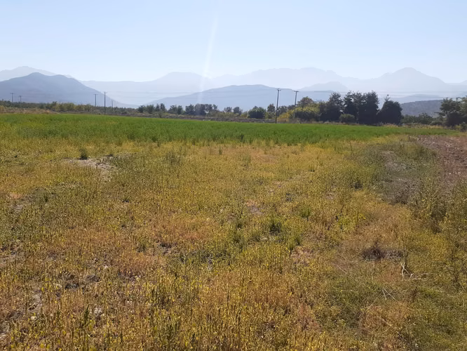 Venta de parcelas  de 5.000 m2, planas, en Nogales. 50 M$