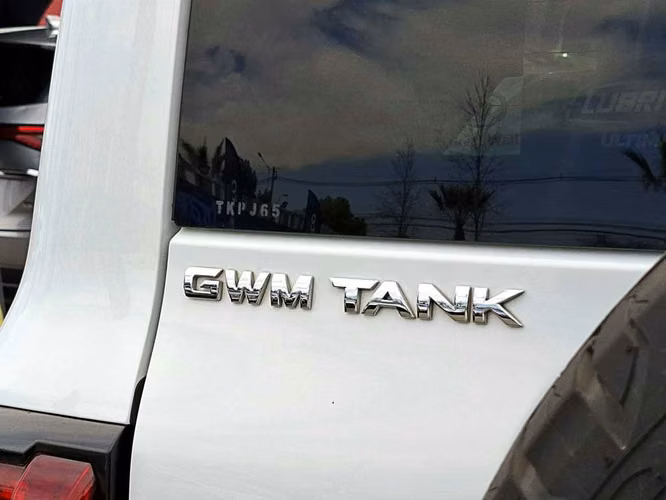 GREAT WALL TANK 300 2024 - Imagen 9