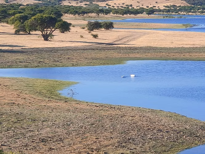 Parcela de 5.000 m² en venta con vista al Embalse Mallermo, Marchigüe