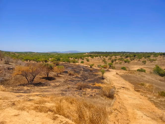 Parcela de 5.000 m² en venta con vista al Embalse Mallermo, Marchigüe