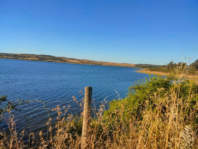 Parcela de 5.000 m² en venta con vista al Embalse Mallermo, Marchigüe