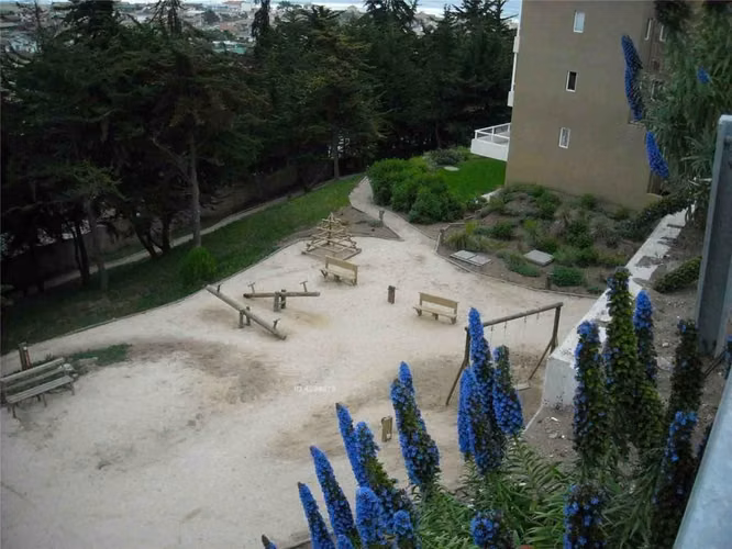 PINARES DE CACHAHUA SEPTIEMBRE - Imagen 7