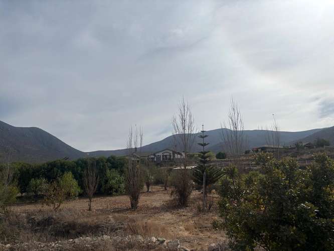  Oportunidad de Inversión en Sector Alpatitas – 10.000 m² de Terreno