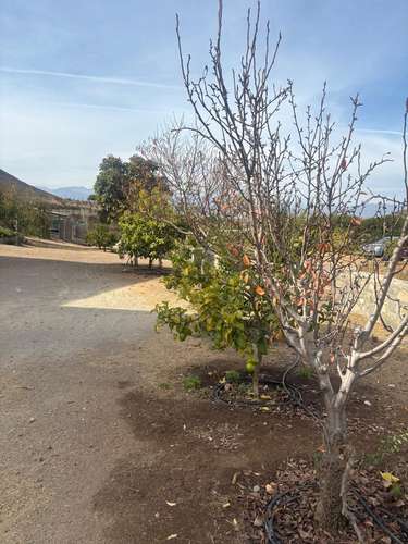  Oportunidad de Inversión en Sector Alpatitas – 10.000 m² de Terreno