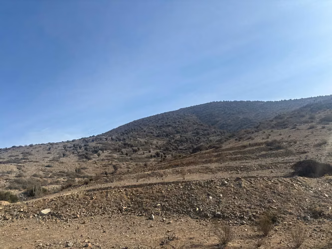 Invierte en Naturaleza | Parcela en Venta – Sector San Valentín