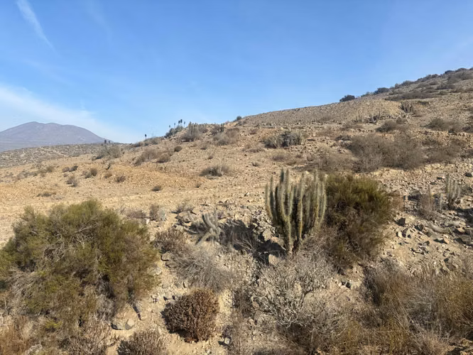 Terreno de 5.000 m² | Vive la Tranquilidad del Valle de Elqui