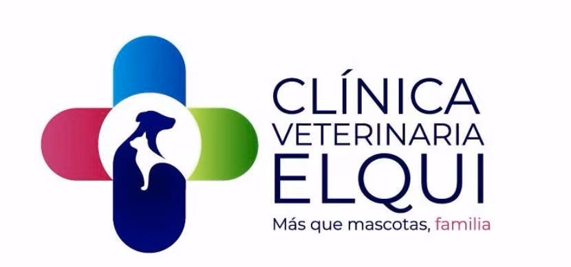 asistente administrativo