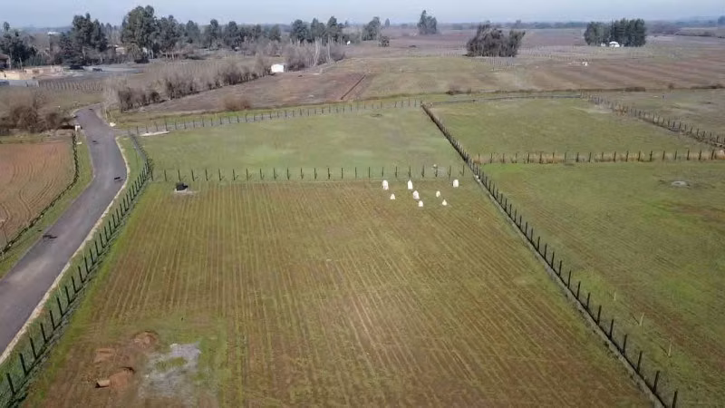 Loteo de 5.000 M2 en el Sector Oriente de Talca - Imagen 6