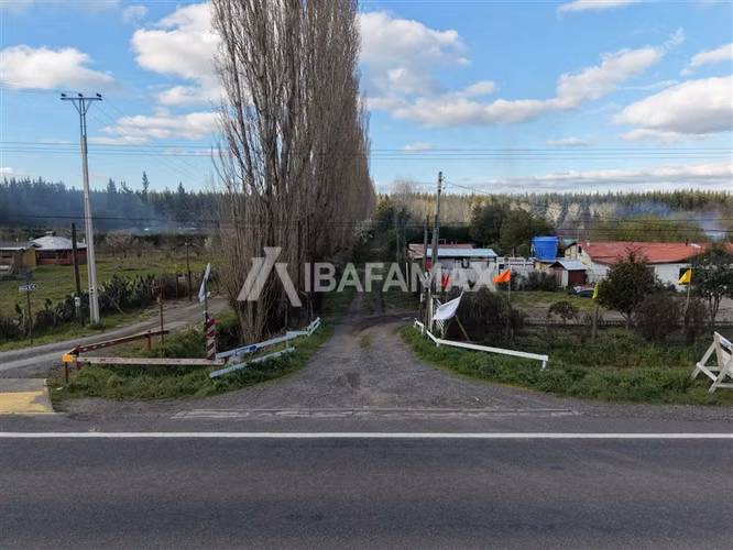 Parcela con casa venta en Yumbel - Imagen 3