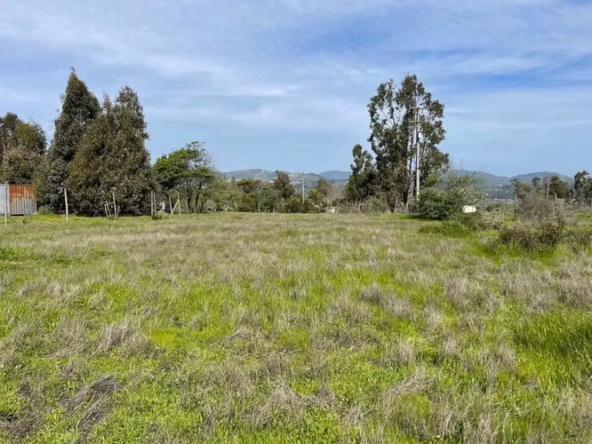 Amplio Terreno En Exclusivo Sector Las Gaviotas - Imagen 5