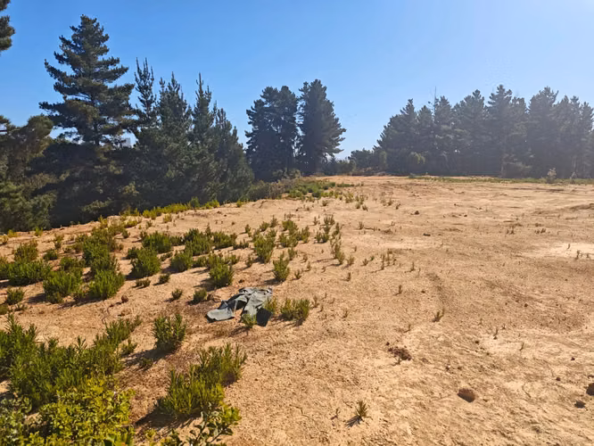 Oportunidad Excelente Terreno De 10.000mts Los Pinos, Reñaca - Imagen 5