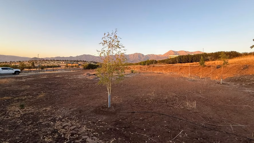 VENTA PARCELA HACIENDA DE CHACABUCO COLINA - Imagen 12