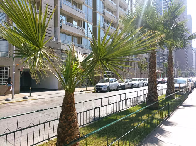 Calle Placilla, Metro San Alberto Hurtado (182198)