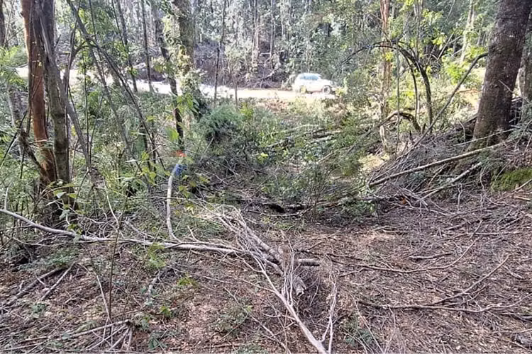 Terreno en bosque pucón los nevados - Imagen 13